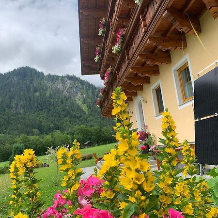 Alpen Appartements Oberlehengut Werfenweng Buitenkant foto