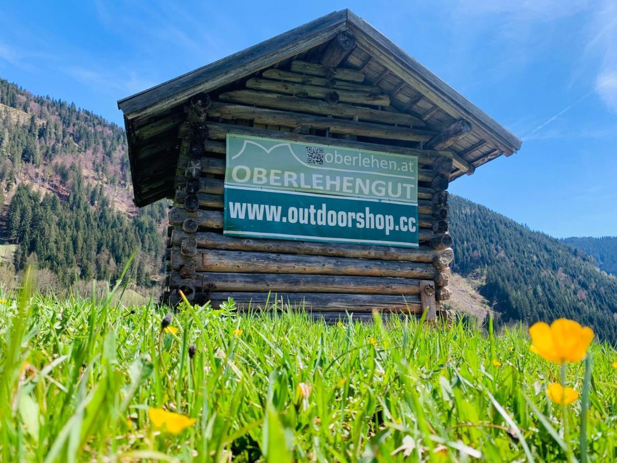 Alpen Appartements Oberlehengut Werfenweng Buitenkant foto