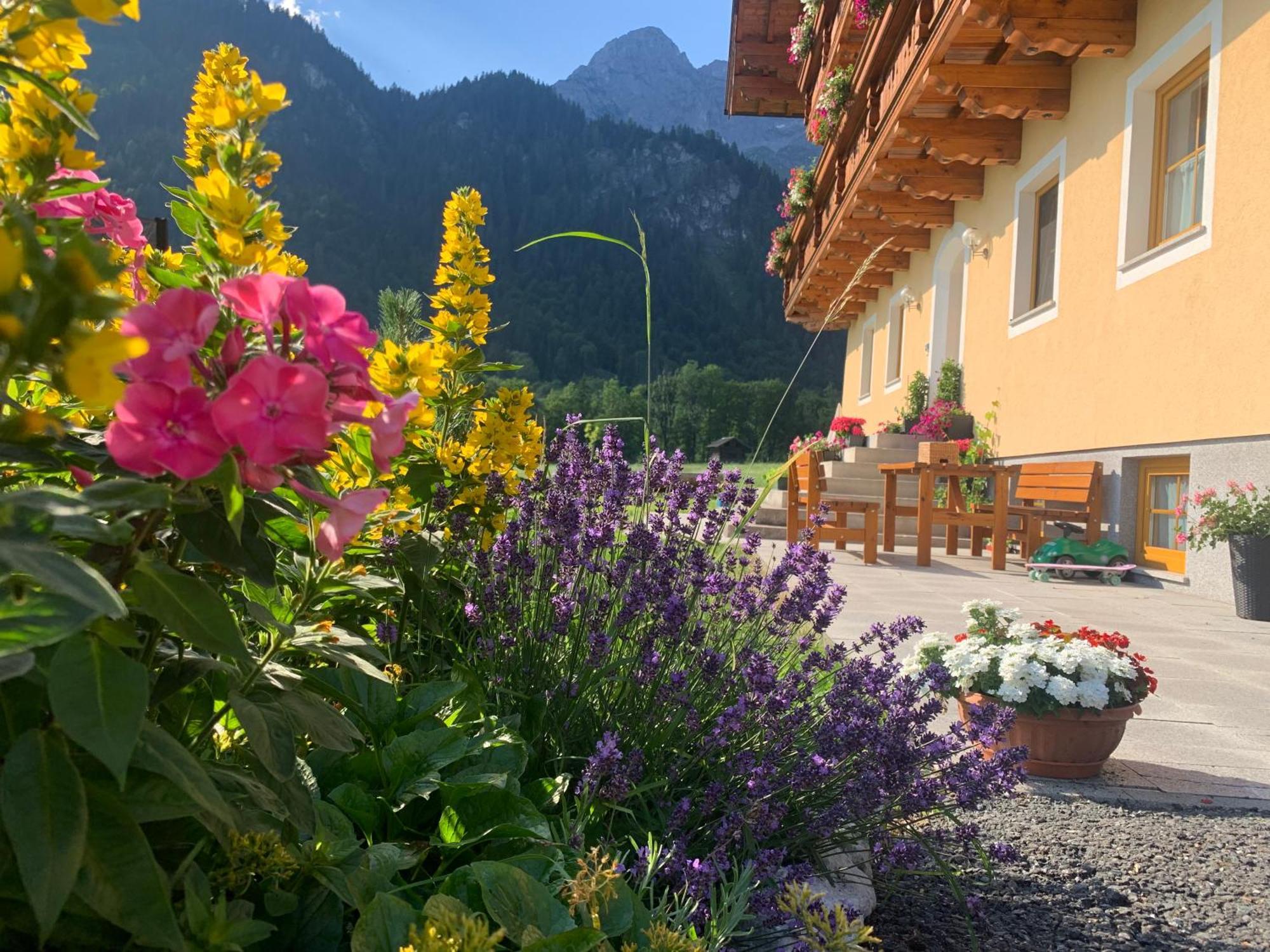 Alpen Appartements Oberlehengut Werfenweng Buitenkant foto
