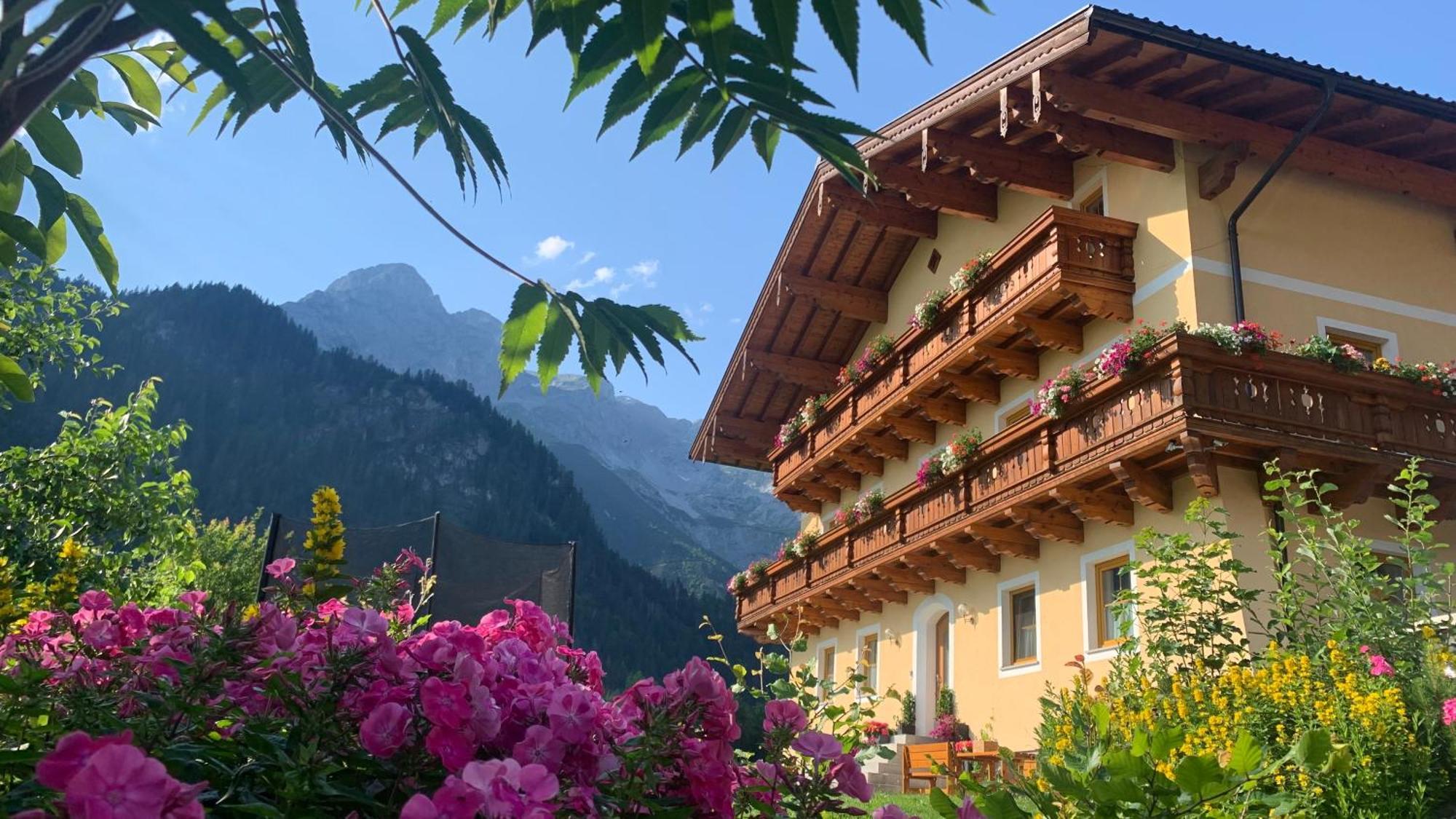 Alpen Appartements Oberlehengut Werfenweng Buitenkant foto