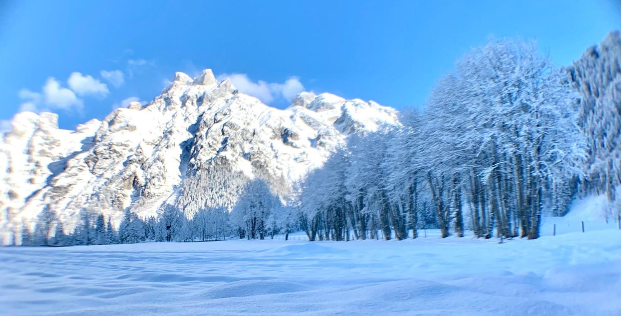 Alpen Appartements Oberlehengut Werfenweng Buitenkant foto