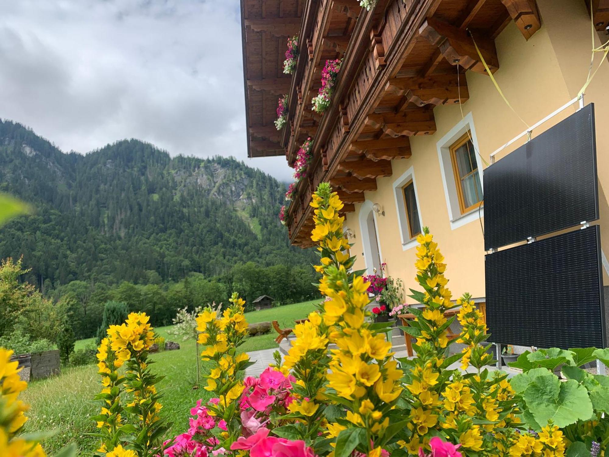 Alpen Appartements Oberlehengut Werfenweng Buitenkant foto