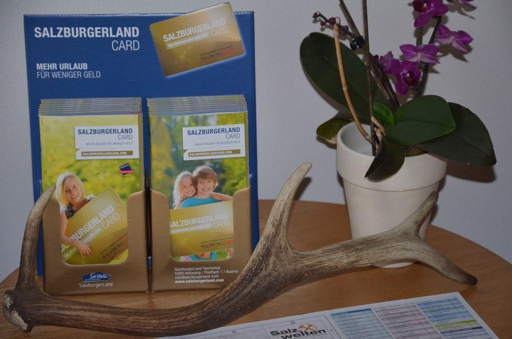 Alpen Appartements Oberlehengut Werfenweng Buitenkant foto
